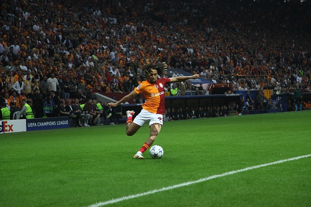 分能力已经 分能力已经