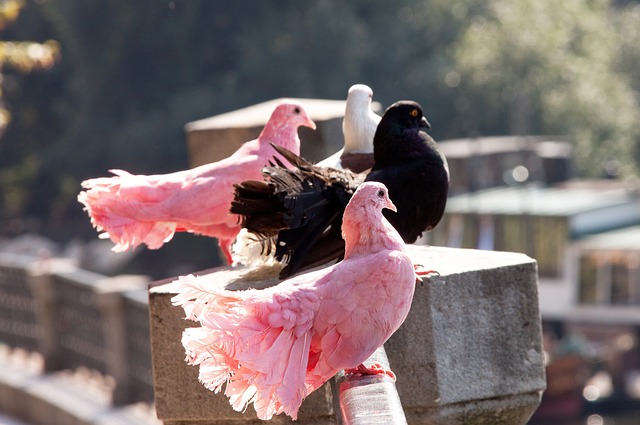 这使得NB 这使得NB