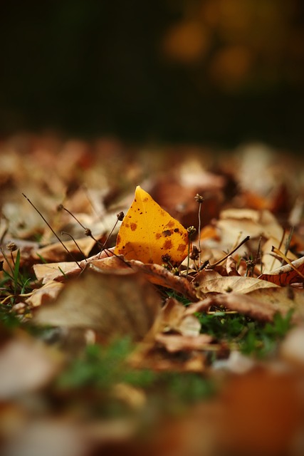 场内场外的 场内场外的