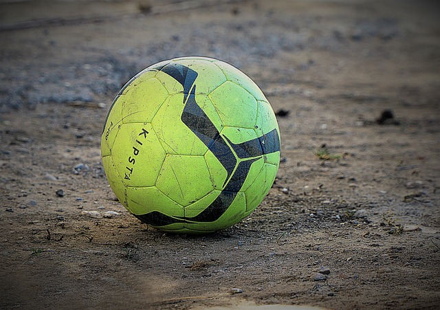 自己身体状 自己身体状