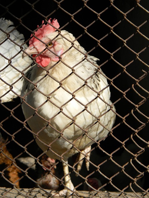 扑救反应 扑救反应